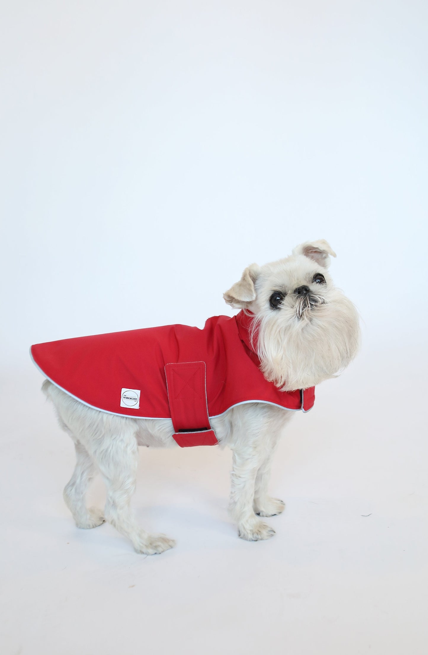 Working Dog Rain Jacket - Olive