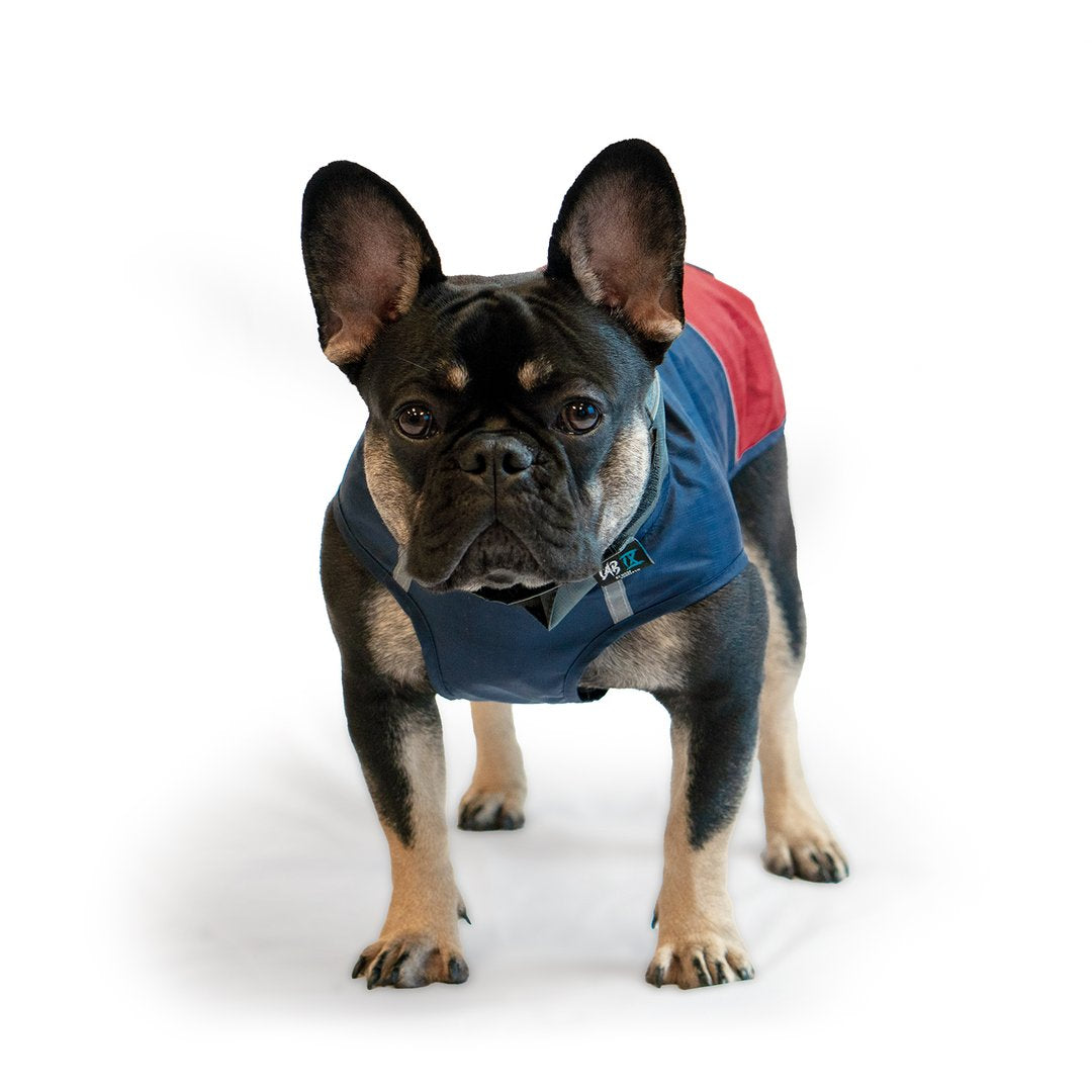 Woof Concept Arrow Windbreaker Navy/Red