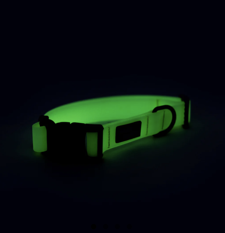 Woof Concept Aqua Waterproof Collars