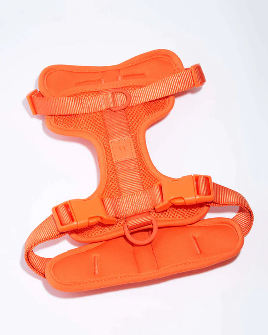 Wild One Comfort Harness - Blaze