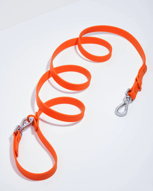 Wild One Leash - Blaze