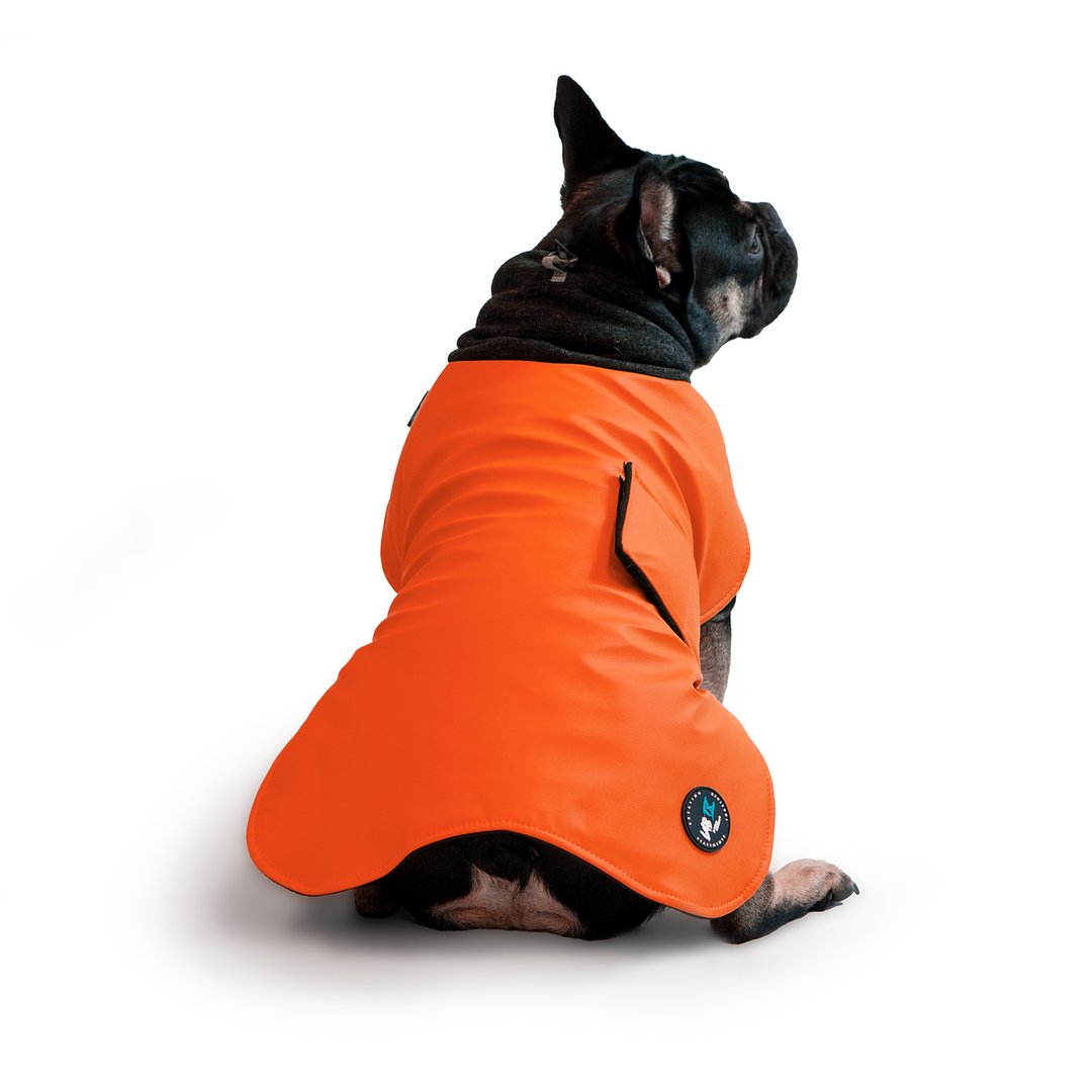 Woof Concept Wintertide Coat