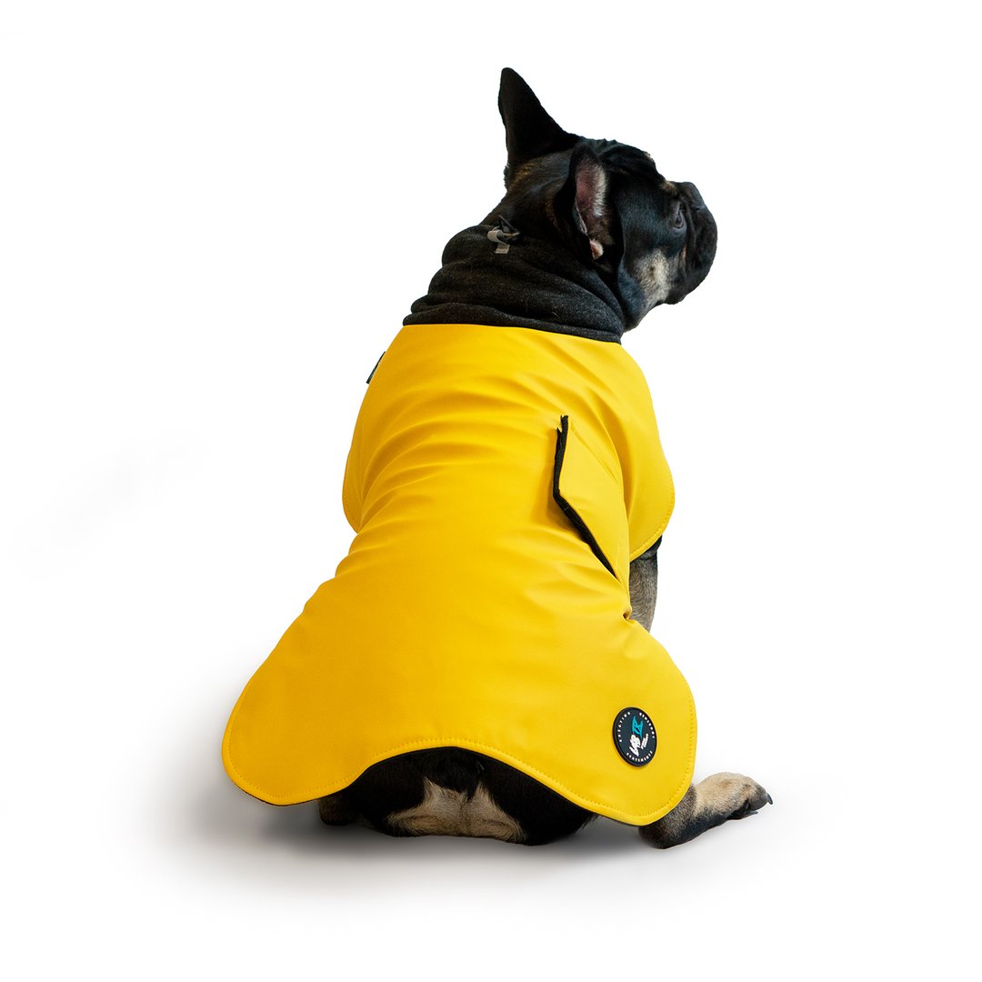 Woof Concept Wintertide Coat